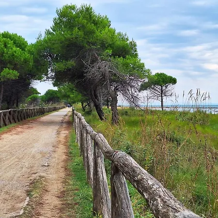 Tastefully Furnished Flat With Pool And Area * Bibione